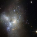 This image, taken by the NASA/ESA Hubble Space Telescope, shows a peculiar galaxy known as NGC 1487, lying about 30 million light-years away in the southern constellation of Eridanus. Rather than viewing a celestial object, it is actually better to think of this as an event. Here, we are witnessing two or more galaxies in the act of merging together to form a single new galaxy. Each progenitor has lost almost all traces of its original appearance, as stars and gas have been thrown hither and thither by gravity in an elaborate cosmic whirl. Unless one is very much bigger than the other, galaxies are always disrupted by the violence of the merging process. As a result, it is very difficult to determine precisely what the original galaxies looked like and, indeed, how many of them there were. In this case, it is possible that we are seeing the merger of several dwarf galaxies that were previously clumped together in a small group. Although older yellow and red stars can be seen in the outer regions of the new galaxy, its appearance is dominated by large areas of bright blue stars, illuminating the patches of gas that gave them life. This burst of star formation may well have been triggered by the merger.
