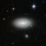 Only three local stars appear in this image, quartered by right-angled diffraction spikes. Everything besides them is a galaxy; floating like a swarm of microbes in a drop of water, and brought into view here not by a microscope, but by the Advanced Camera for Surveys on the Hubble Space Telescope. In the foreground, the spiral arms of MCG+01-02-015 seem to wrap around one another, cocooning the galaxy. The scene suggests an abundance of galactic companionship for MCG+01-02-015, but this is a cruel trick of perspective. Instead, MCG+01-02-015’s unsentimental naming befits its position within the cosmos: It is a void galaxy, the loneliest of galaxies. The vast majority of galaxies are strung out along galaxy filaments — thread-like formations that make up the large-scale structure of the Universe — drawn together by the influence of gravity into sinuous threads weaving through space. Between these filaments stretch shallow but immense voids; the Universe’s wastelands, where, outside of the extremely rare presence of a galaxy, there is very little matter — about one atom per cubic metre. One such desolate stretch of space is what MCG+01-02-015 reluctantly calls home. The galaxy is so isolated that if our galaxy, the Milky Way, were to be situated in the same way, we would not have known of the existence of other galaxies until the 1960s.