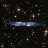 In this cosmic snapshot, the spectacularly symmetrical wings of Hen 2-437 show up in a magnificent icy blue hue. Hen 2-437 is a planetary nebula, one of around 3000 such objects known to reside within the Milky Way. Located within the faint northern constellation of Vulpecula (The Fox), Hen 2-437 was first identified in 1946 by Rudolph Minkowski, who later also discovered the famous and equally beautiful M2-9 (otherwise known as the Twin Jet Nebula). Hen 2-437 was added to a catalogue of planetary nebula over two decades later by astronomer and NASA astronaut Karl Gordon Henize. Planetary nebulae such as Hen 2-437 form when an aging low-mass star — such as the Sun — reaches the final stages of life. The star swells to become a red giant, before casting off its gaseous outer layers into space. The star itself then slowly shrinks to form a white dwarf, while the expelled gas is slowly compressed and pushed outwards by stellar winds. As shown by its remarkably beautiful appearance, Hen 2-437 is a bipolar nebula — the material ejected by the dying star has streamed out into space to create the two icy blue lobes pictured here.